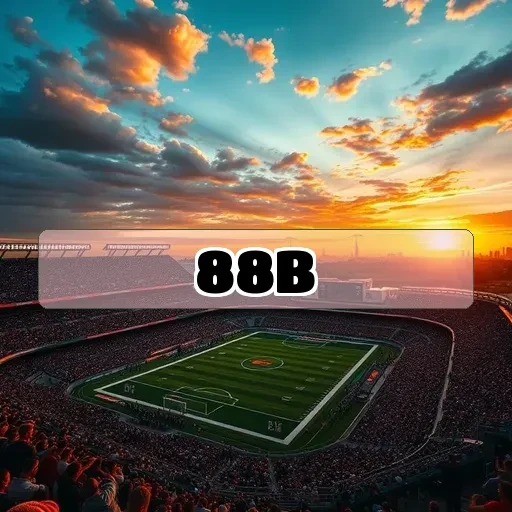 88b vip Privacidade